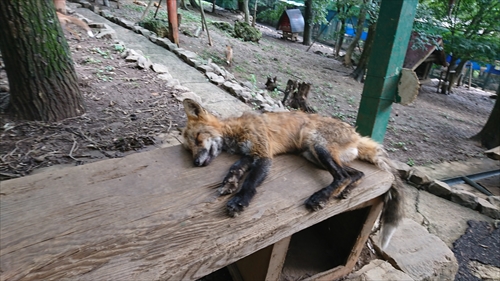 29���E�����L�c�l�����x���W�����I